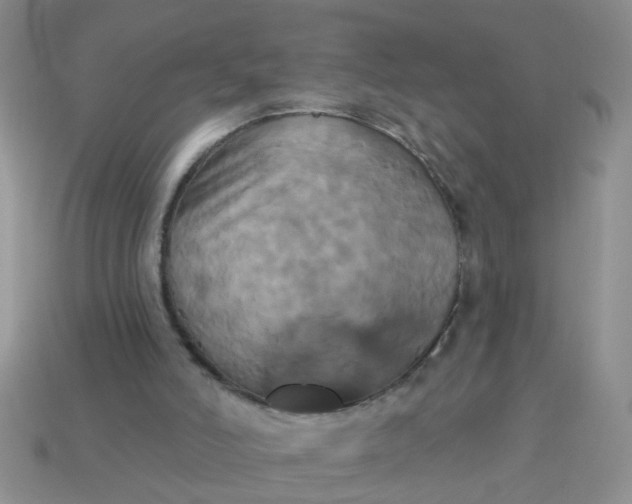 X0000113050006200909101949