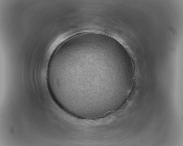 X0000113050007200909101949