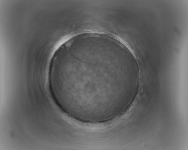 X0000113050008200909101949