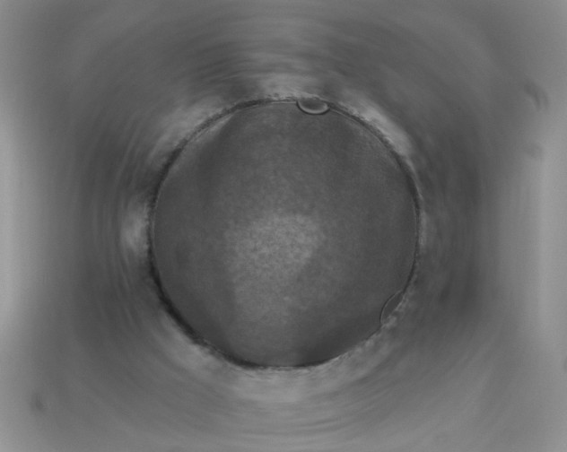 X0000113050009200909101949