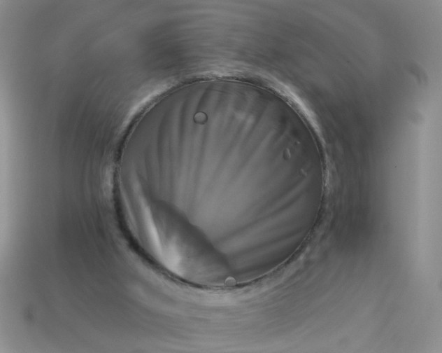 X0000113050010200909101949