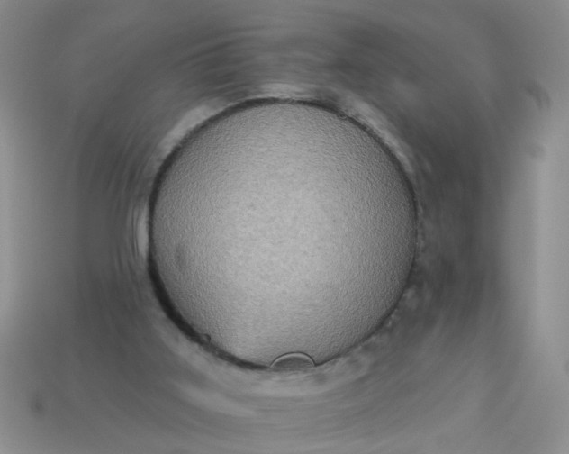 X0000113050011200909101949