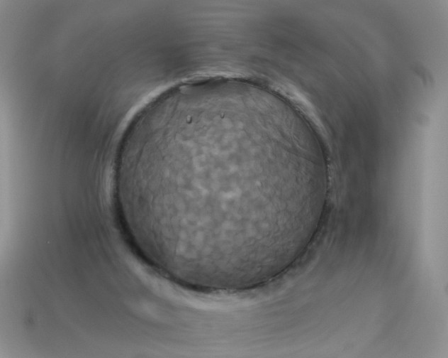 X0000113050012200909101949