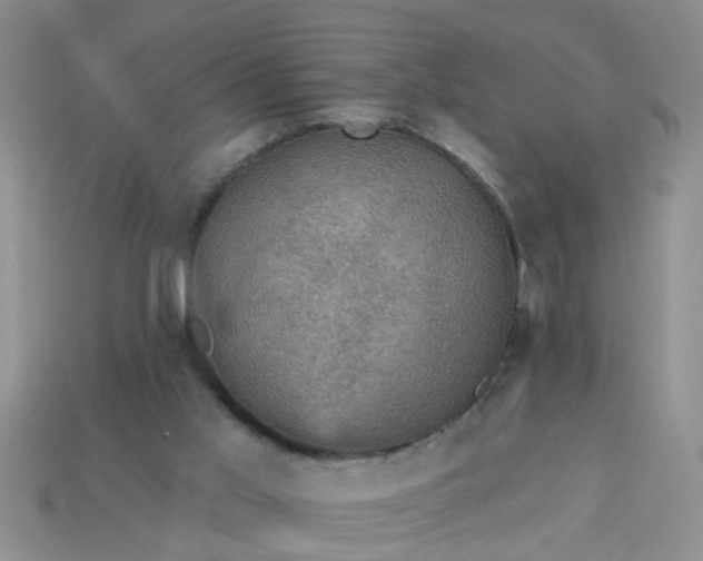 X0000113050013200909101949