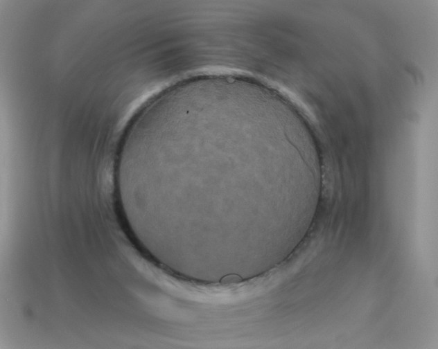 X0000113050015200909101949