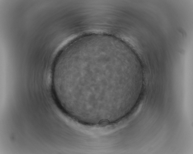 X0000113050016200909101949