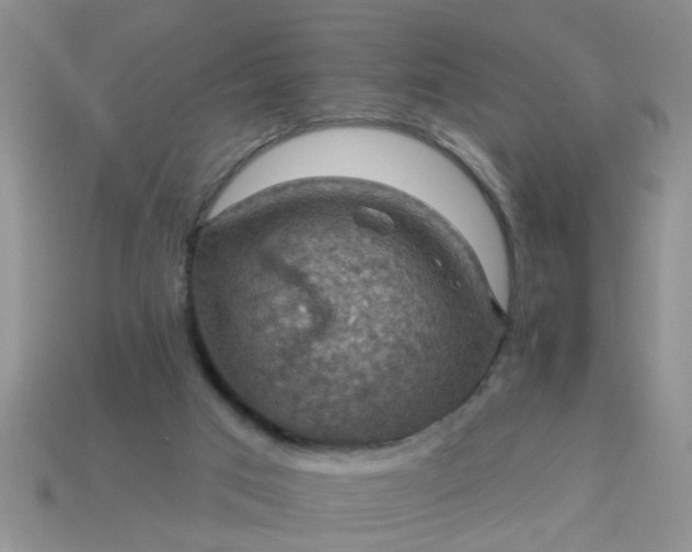 X0000113050017200909101949