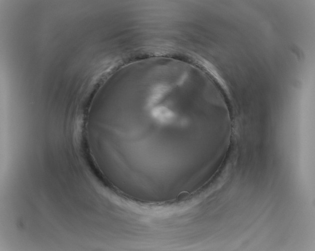 X0000113050018200909101949