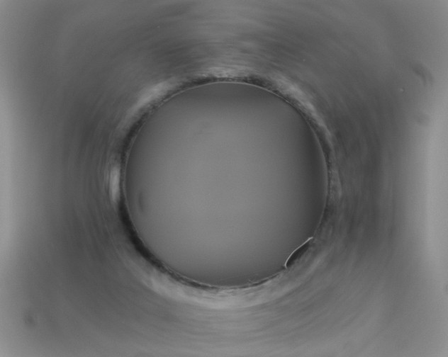 X0000113050019200909101949