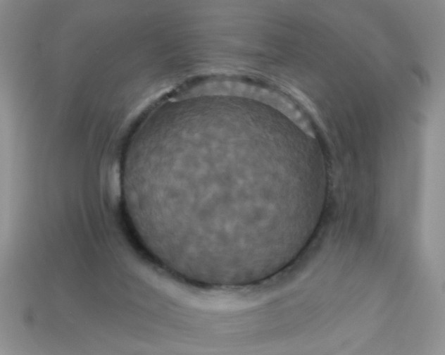 X0000113050020200909101949