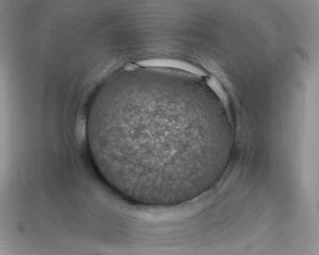 X0000113050021200909101949