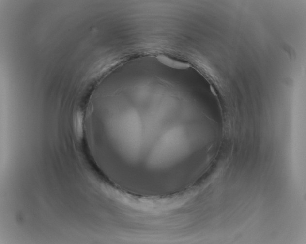 X0000113050022200909101949