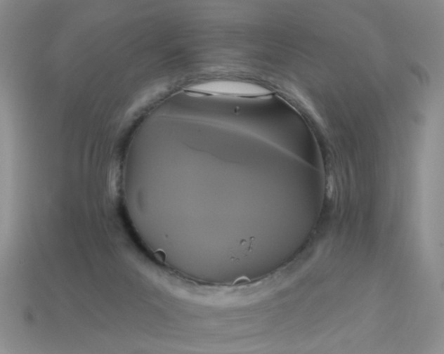 X0000113050023200909101949