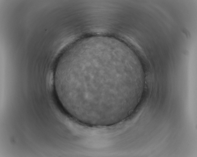 X0000113050024200909101949