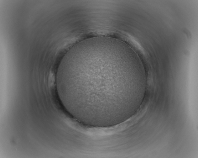 X0000113050025200909101949