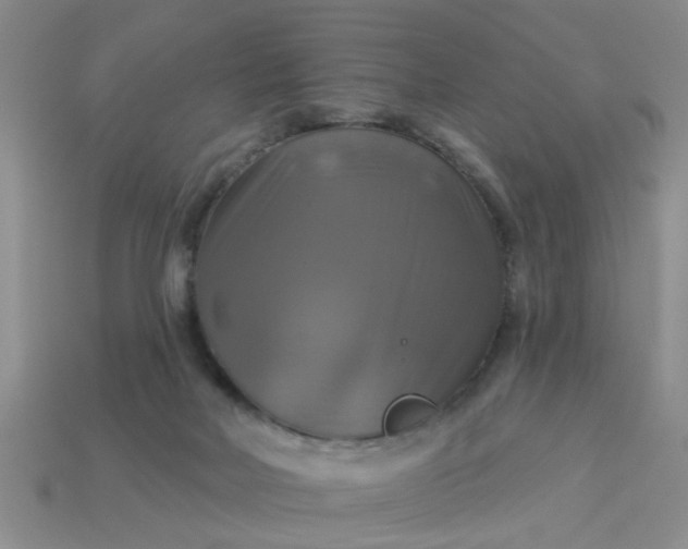 X0000113050026200909101949