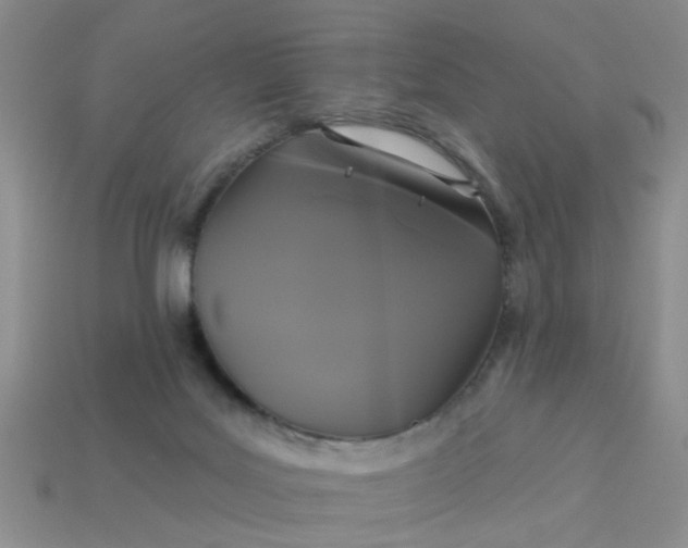 X0000113050027200909101949