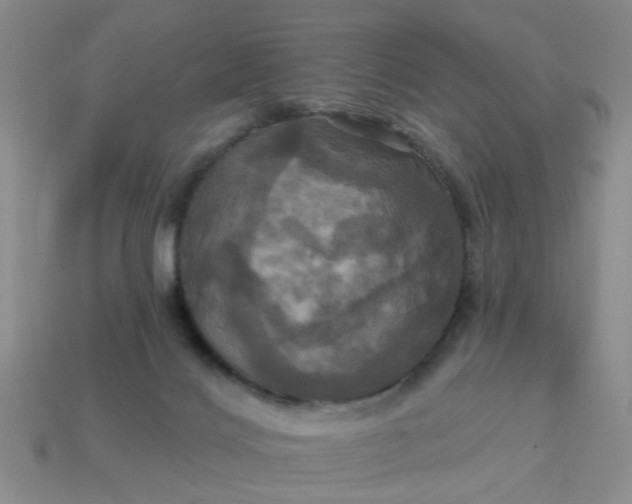 X0000113050028200909101949