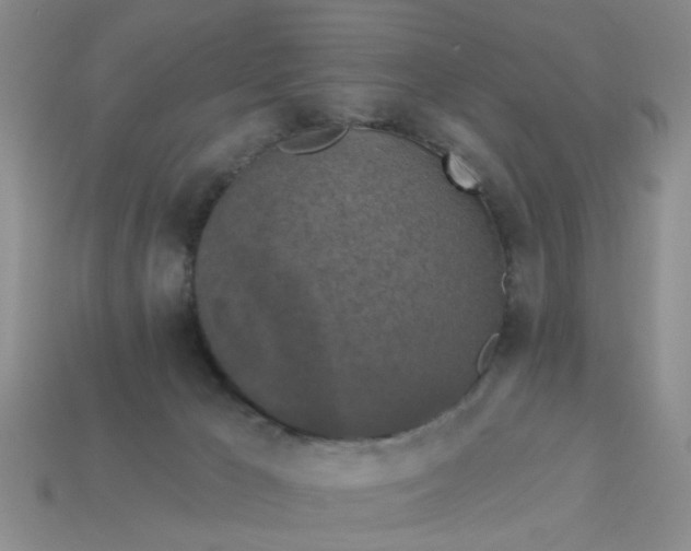 X0000113050029200909101949