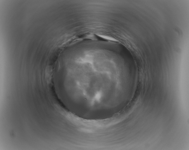 X0000113050030200909101949