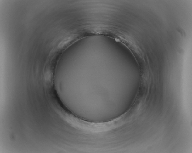 X0000113050031200909101949