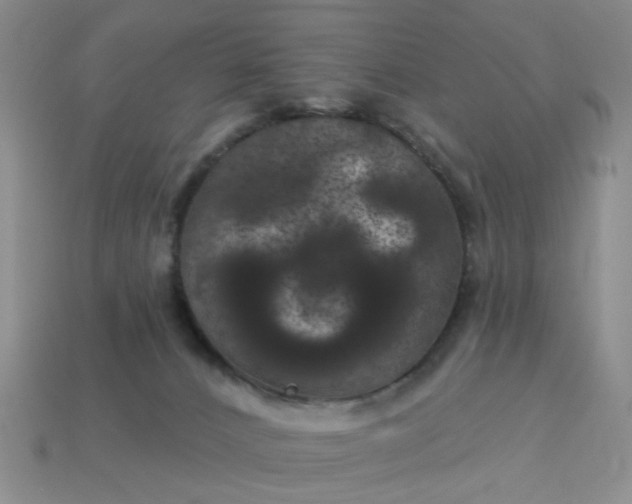 X0000113050032200909101949