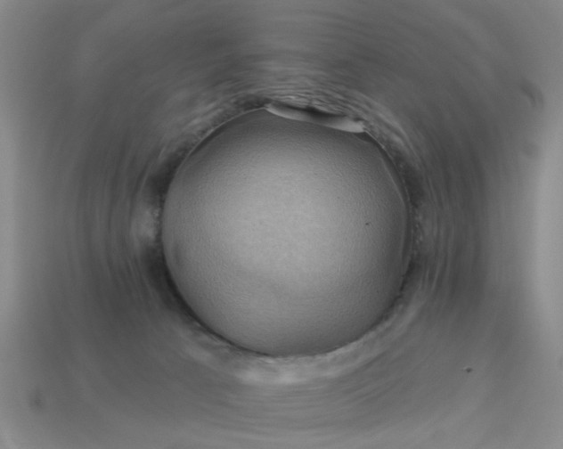 X0000113050033200909101949