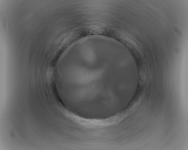 X0000113050034200909101949