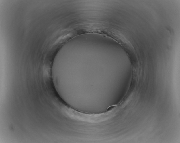 X0000113050035200909101949