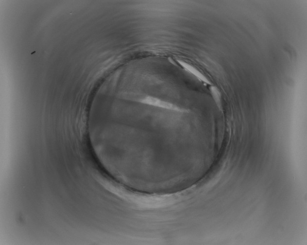 X0000113050036200909101949