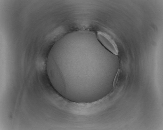 X0000113050037200909101949