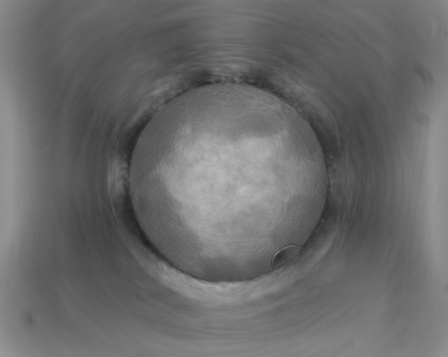 X0000113050038200909101949