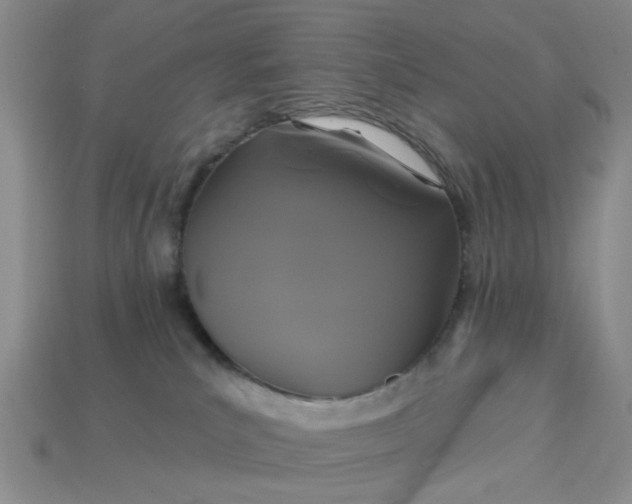 X0000113050039200909101949