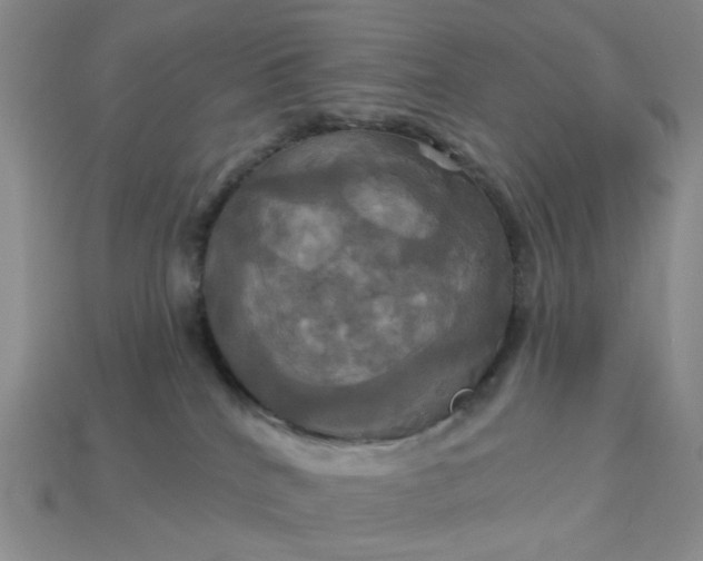 X0000113050040200909101949