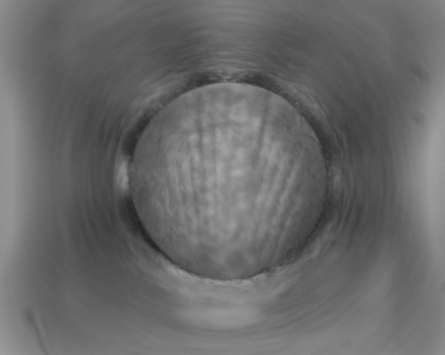 X0000113050042200909101949