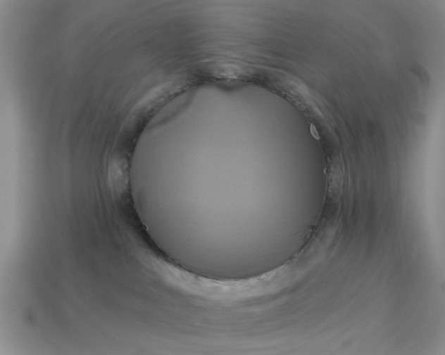 X0000113050043200909101949