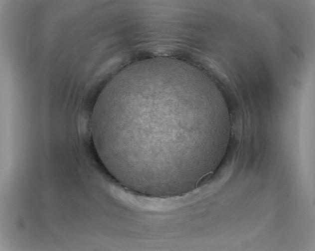 X0000113050044200909101949