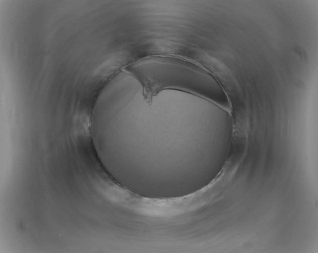 X0000113050045200909101949