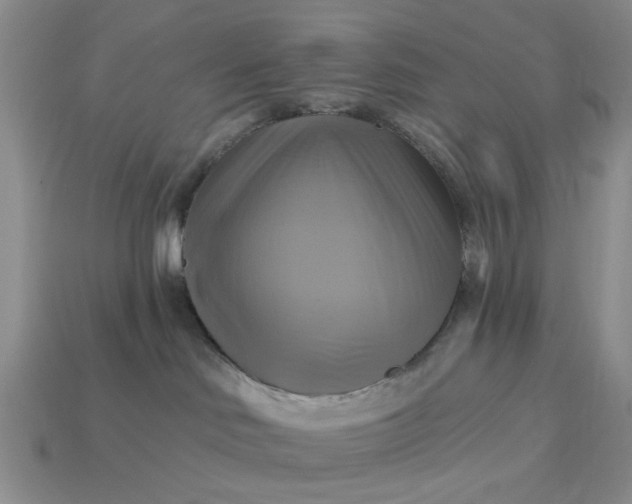 X0000113050046200909101949