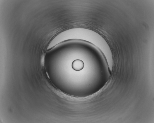 X0000113050047200909101948