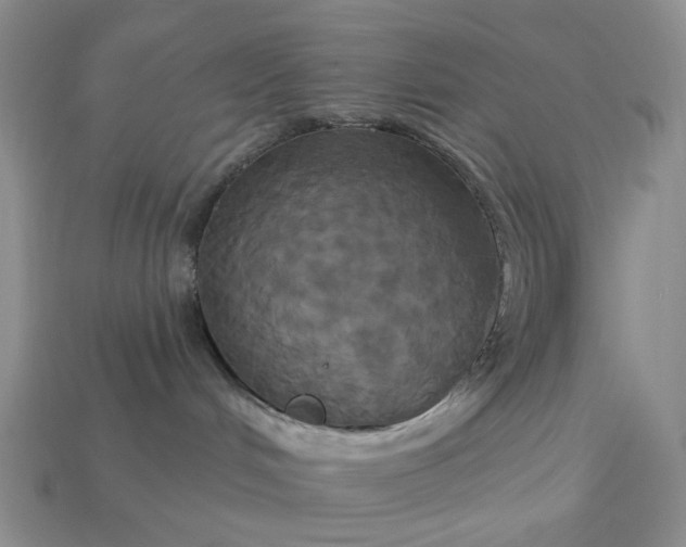 X0000113050048200909101948