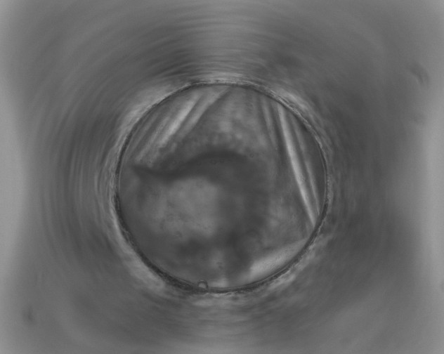 X0000113050049200909101948