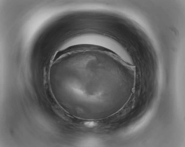 X0000113050050200909101948