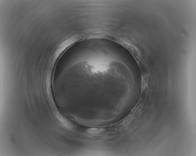 X0000113050051200909101948