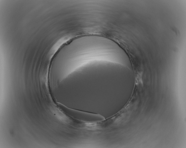 X0000113050052200909101948