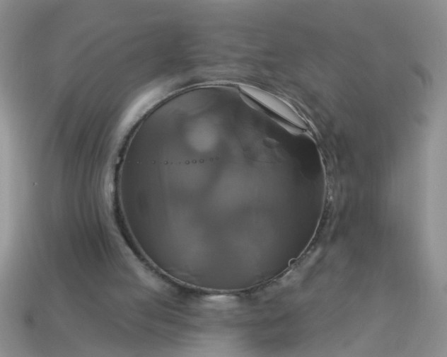 X0000113050053200909101948