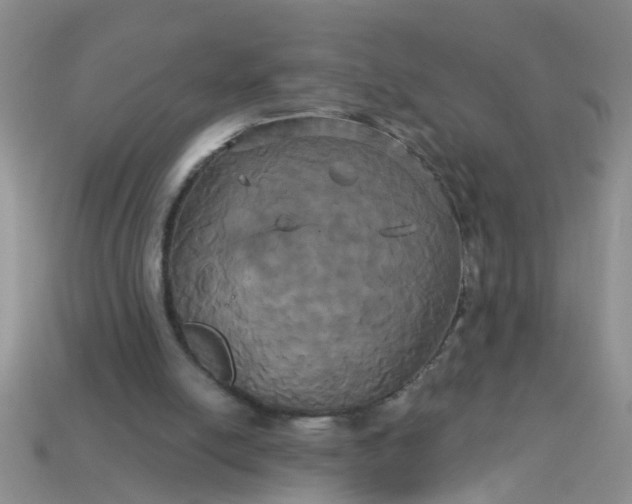 X0000113050054200909101948