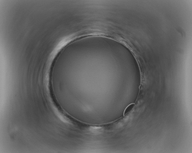 X0000113050055200909101948