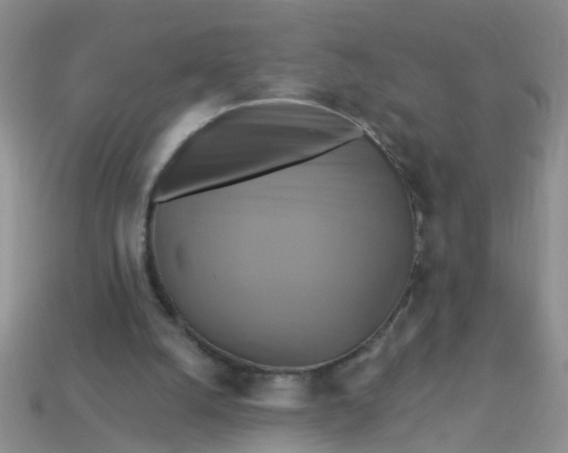 X0000113050056200909101948