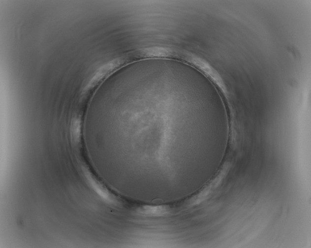 X0000113050057200909101948